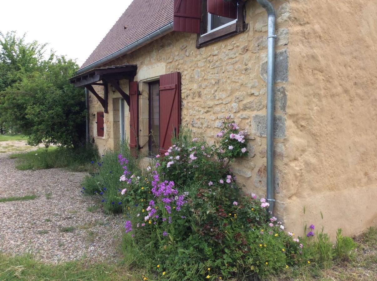 moulin de gateau Hotel Saint-Pierre-les-Etieux Buitenkant foto